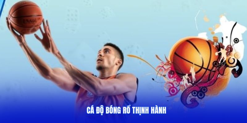 Cá độ bóng rổ thịnh hành