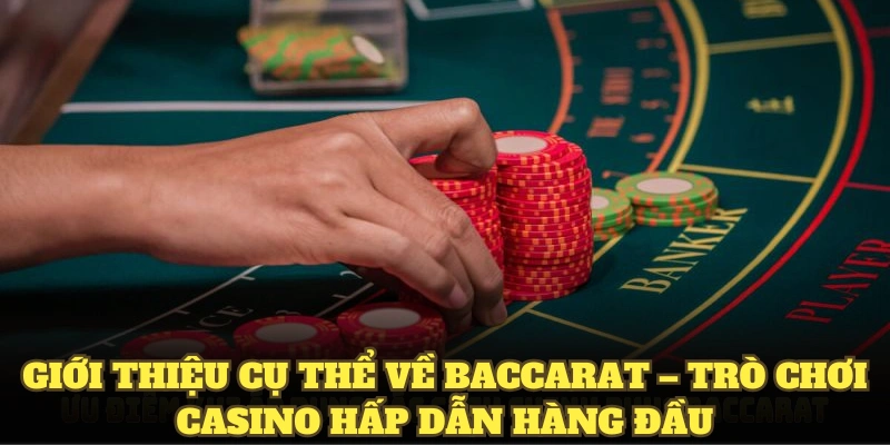 Giới thiệu cụ thể về Baccarat – trò chơi casino hấp dẫn hàng đầu